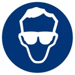 10 pictogrammes port des lunettes