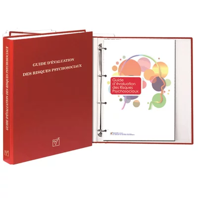 Guide d'évaluation des risques psychosociaux